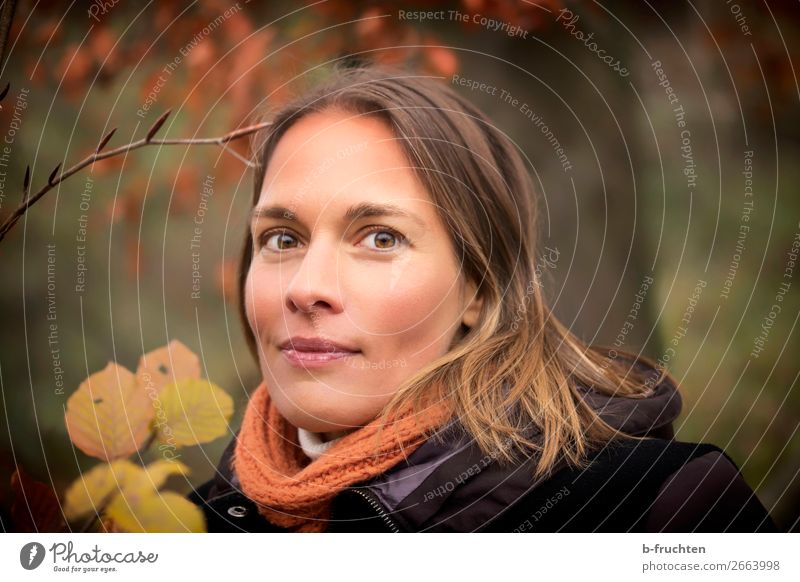 Portrait of a woman in autumn Woman Adults Face 1 Human being Autumn Tree Leaf Park Forest Coat Scarf Brunette Looking Happiness Beautiful Natural Sympathy