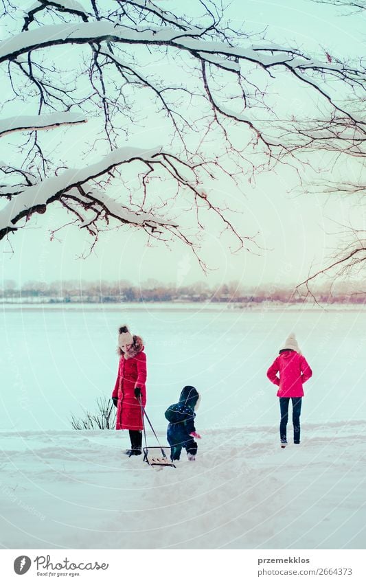 Family, mother and two daughters, spending time together walking outdoors in winter. Woman is pulling sled with her little daughter, a few years old girl, through forest covered by snow while snow falling, enjoying wintertime. Mother is wearing red winter