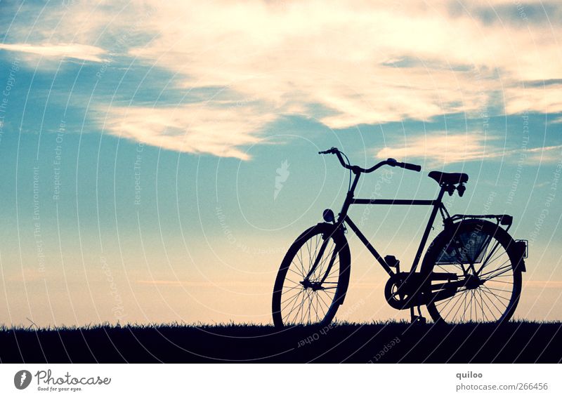 freedom Vacation & Travel Summer vacation Island Cycling Bicycle Landscape Air Sky Clouds Beach Dike Traffic infrastructure Lanes & trails Movement Driving