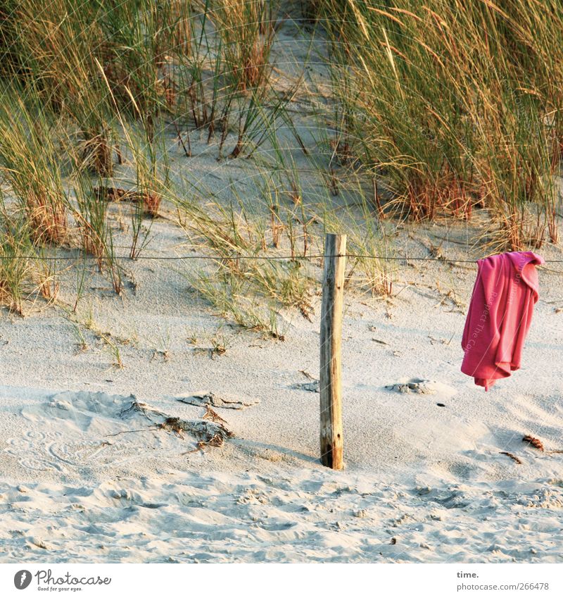 strapless textile Environment Plant Beautiful weather Beach Baltic Sea Beach dune Marram grass Hang Tourism Pole Wire cable Textiles T-shirt Shirt Colour photo