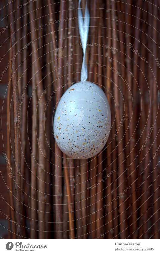 Easter egg in corner Decoration Wood Old Natural Brown White Religion and faith Subdued colour Exterior shot Reflection Deep depth of field Central perspective