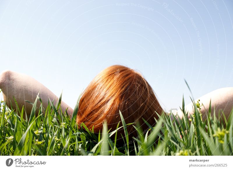 Red haired woman laying in grass looking up Relaxation Sun Human being Young woman Youth (Young adults) Woman Adults 1 18 - 30 years Sky Grass Red-haired Tall