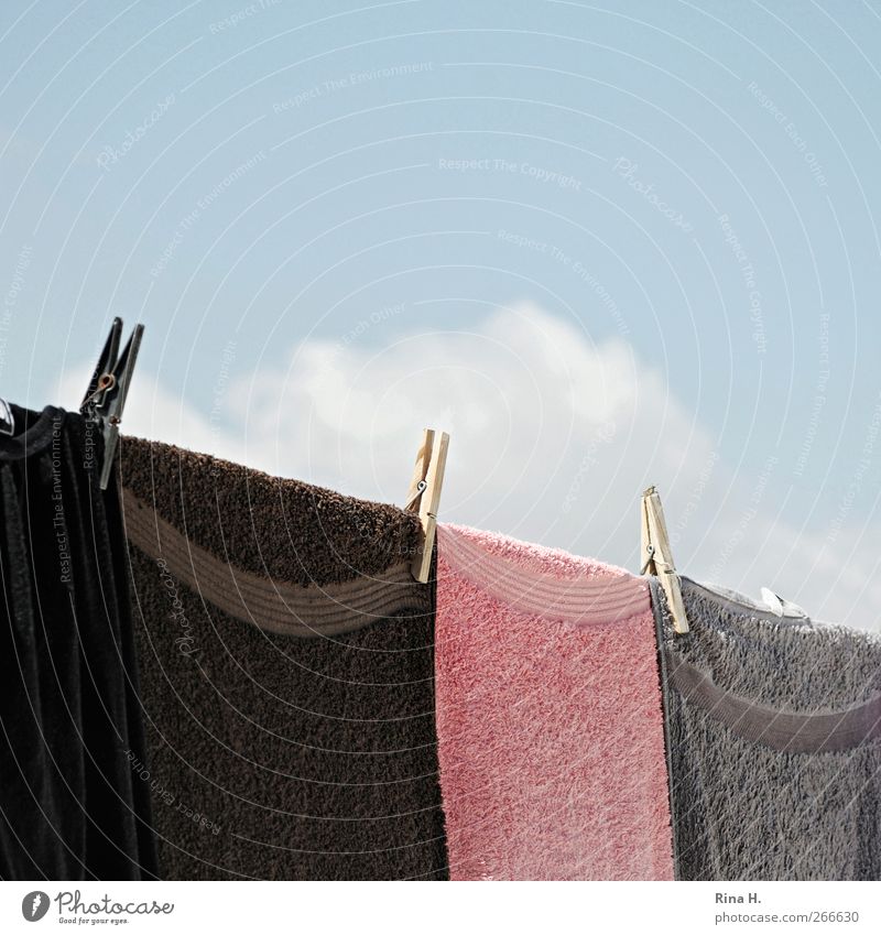 Clothes and Cloud II Sky Clouds Summer Beautiful weather Hang Fresh Cleanliness Clothesline Clothes peg Towel Airy Colour photo Exterior shot Deserted