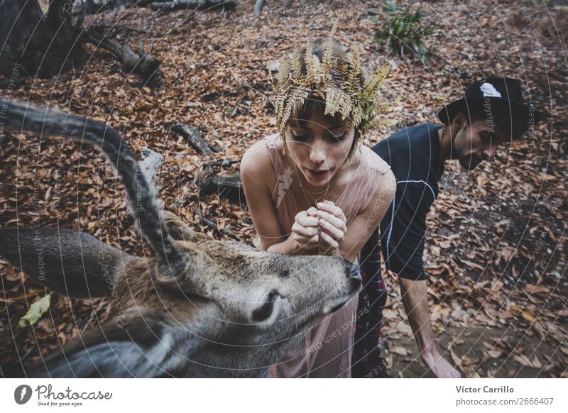 A Young Couple and a Deer in the woods Lifestyle Shopping Elegant Style Exotic Joy Beautiful Human being Masculine Feminine Young woman Youth (Young adults)