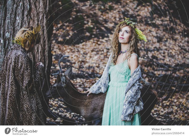 Two girls and a deer in the woods Lifestyle Elegant Style Joy Human being Feminine Young woman Youth (Young adults) Woman Adults Friendship Face Environment