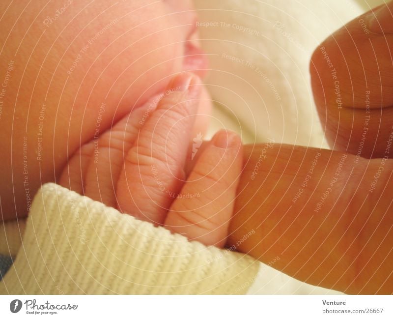 Contact (2) Baby Child Newborn Trust Touch Fingers To hold on Hand Human being Catch Skin Near Close-up
