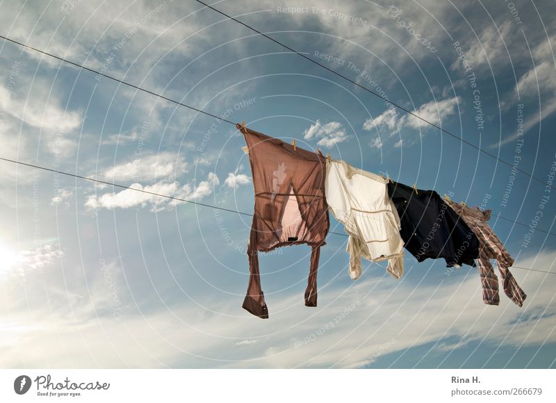 and even more laundry on the line II Sky Clouds Summer Beautiful weather T-shirt Shirt Blouse Hang Authentic Fresh Bright Blue White Cleanliness Clothesline Dry