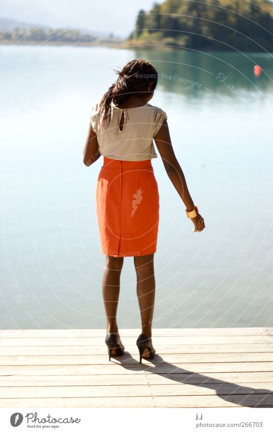 on the edge Feminine Young woman Youth (Young adults) 1 Human being 18 - 30 years Adults Landscape Water Beautiful weather Coast Lake Footbridge Skirt
