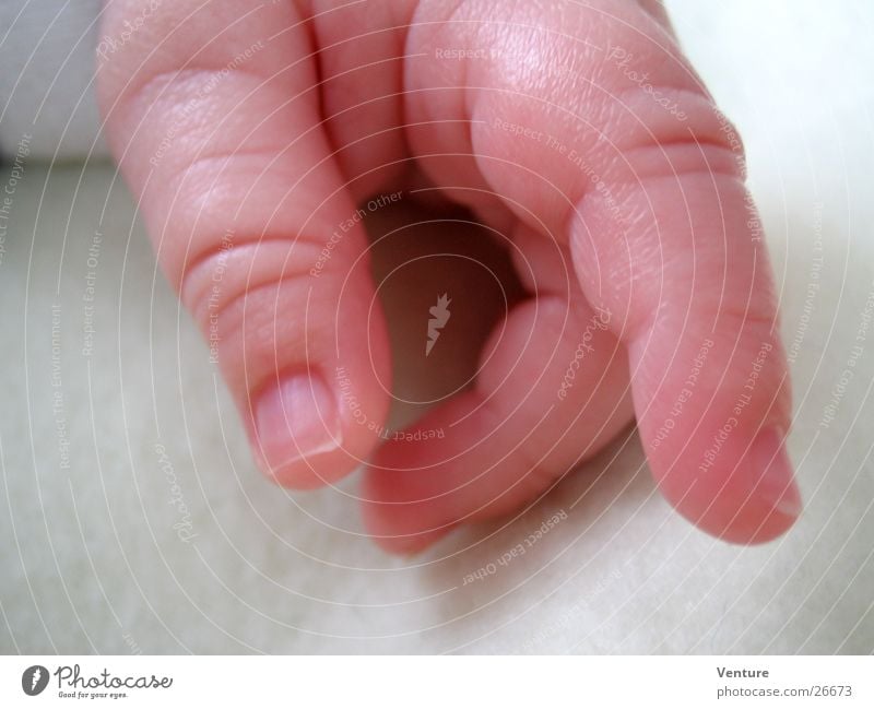 young hand Hand Fingers Baby Forefinger Thumb Small Human being Skin Indicate Signage Macro (Extreme close-up) Close-up