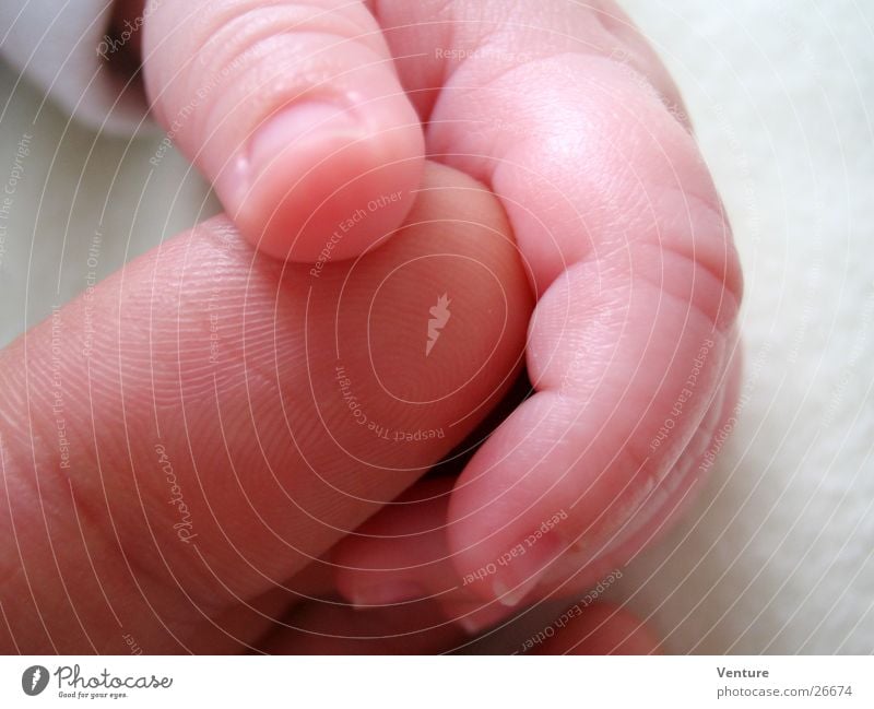 good feeling Fingers Small Hand Thumb Baby Touch To hold on Trust Human being Skin Catch Macro (Extreme close-up) Close-up Near Contact