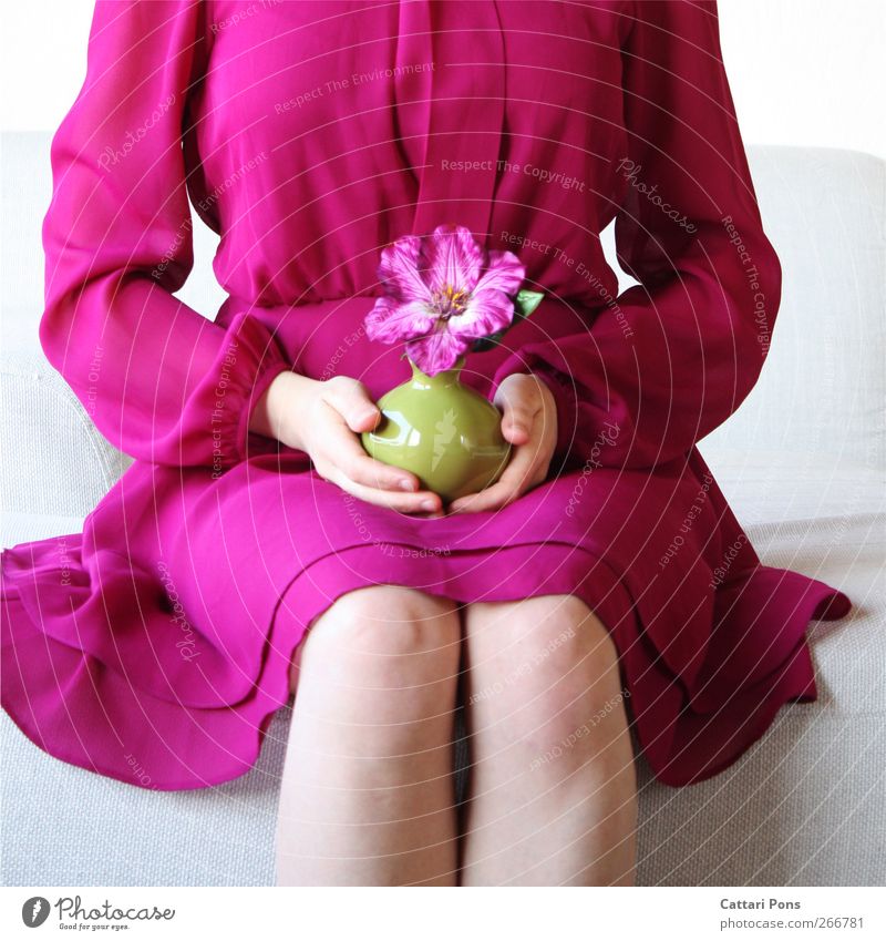 All They Want Style Feminine Body 1 Human being Plant Blossom Exotic Dress Cloth To hold on Sit Beautiful Uniqueness Natural Thin Soft Violet Pink Flower