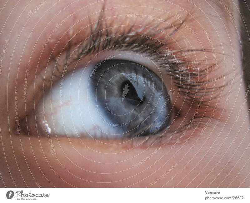 sidelong glance Close-up Eyelash Pupil Human being Eyes Macro (Extreme close-up) Detail Iris