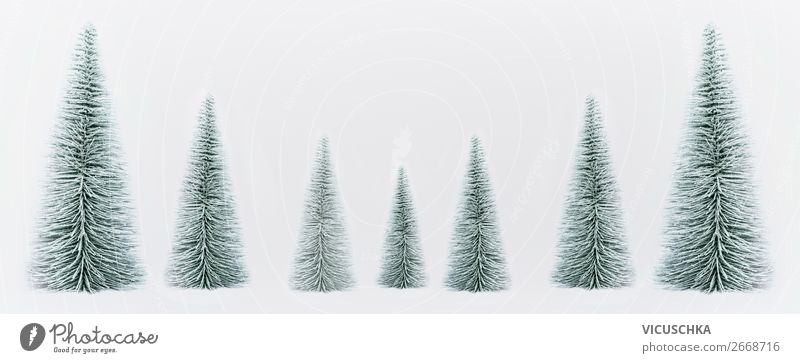 Christmas trees on white background. Banner Christmas bаum banner fir tree Winter