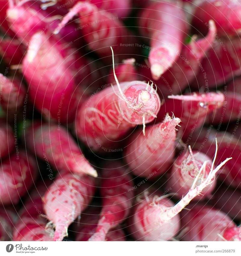 Reddich Food Vegetable Nutrition Organic produce Vegetarian diet Fresh Healthy Market stall Many Radish Colour photo Detail Structures and shapes Deserted