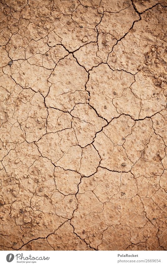 #AS# Earth crack Environment Nature Landscape Esthetic Drought Desert Dry Arid region Dry valley Dry farming desertification Crack & Rip & Tear Climate change
