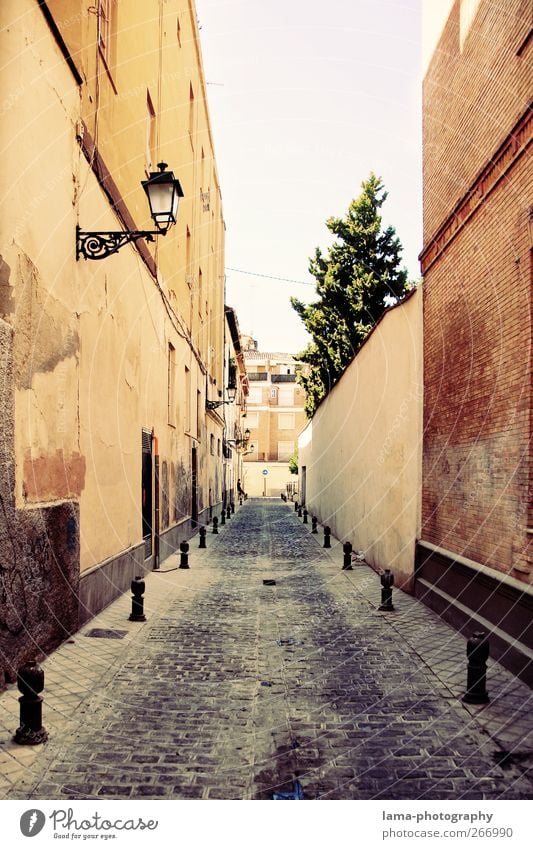 Streets of Andalusia [XXXIX] Granada Andalucia Spain Downtown Old town Deserted Wall (barrier) Wall (building) Facade Lanes & trails Alley Retro Town Derelict