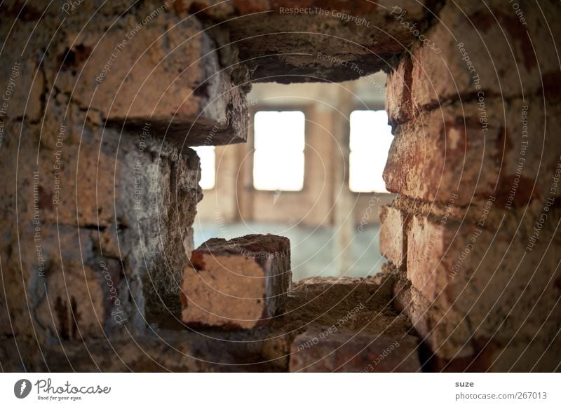 Eyes through and through Interior design Room Building Wall (barrier) Wall (building) Window Stone Brick Old Dirty Broken Decline Past Transience Shaft of light
