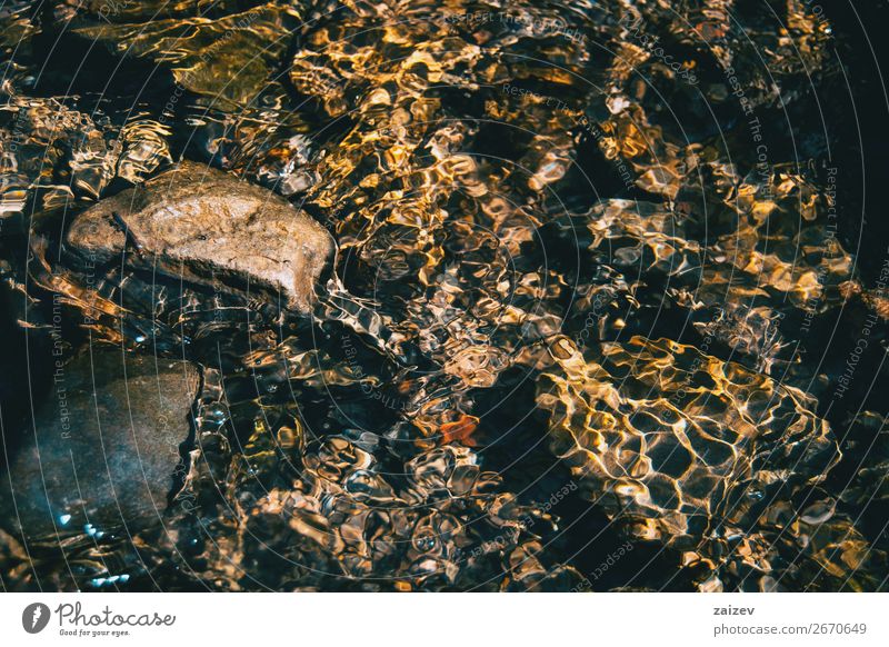 Light reflections in the water of a river with some rocks under water. Beautiful Calm Wallpaper Nature Autumn Warmth Rock Brook River Stone Fluid Wet Natural