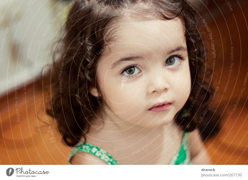 Sparkly eyes Room Feminine Child Toddler Girl Infancy Face 1 Human being 1 - 3 years Beautiful Cute Calm Curiosity Pure Innocent drarock Curly hair Colour photo