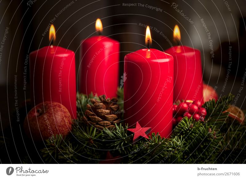 Advent wreath Christmas & Advent Plant Sign Illuminate Wait Red Moody Safety (feeling of) Hope Belief Peace Religion and faith Love Christmas wreath 4 Candle