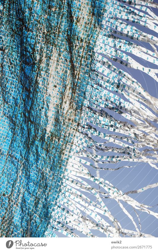 frayed Cloudless sky Tarp Fringe Plastic Movement Blue Wind Colour photo Exterior shot Detail Abstract Structures and shapes Deserted