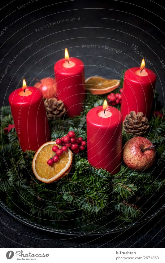 Advent Harmonious Calm Feasts & Celebrations Christmas & Advent Utilize Looking Wait Dark Red Anticipation Curiosity Hope Belief Mysterious Religion and faith