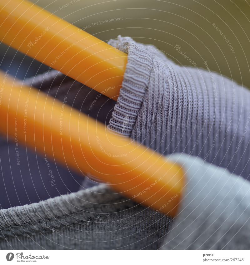 Nikki Clothing T-shirt Yellow Gray Violet Thread Close-up Hanger Colour photo Exterior shot Deserted Copy Space top Day Shallow depth of field