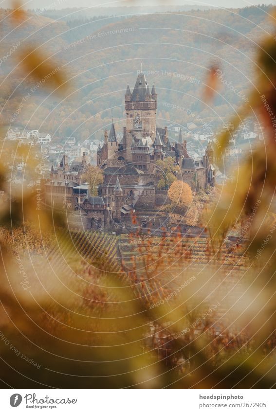 Reichsburg in Cochem in autumn Nature Autumn Tree Leaf Forest Germany Castle Tourist Attraction Landmark Monument Famousness Historic Brown Gold
