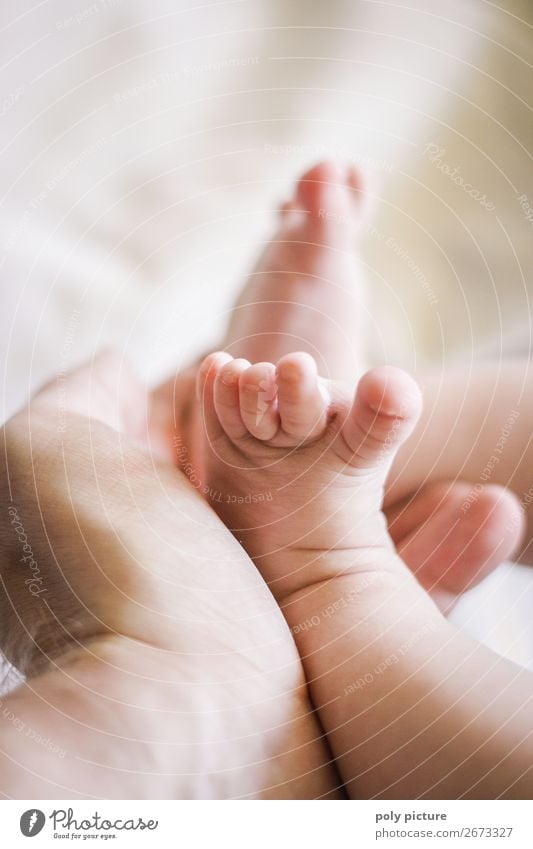 Baby feet are held by daddy Healthy Wellness Life Harmonious Well-being Contentment Senses Relaxation Calm Child Father Adults Family & Relations Infancy Hand
