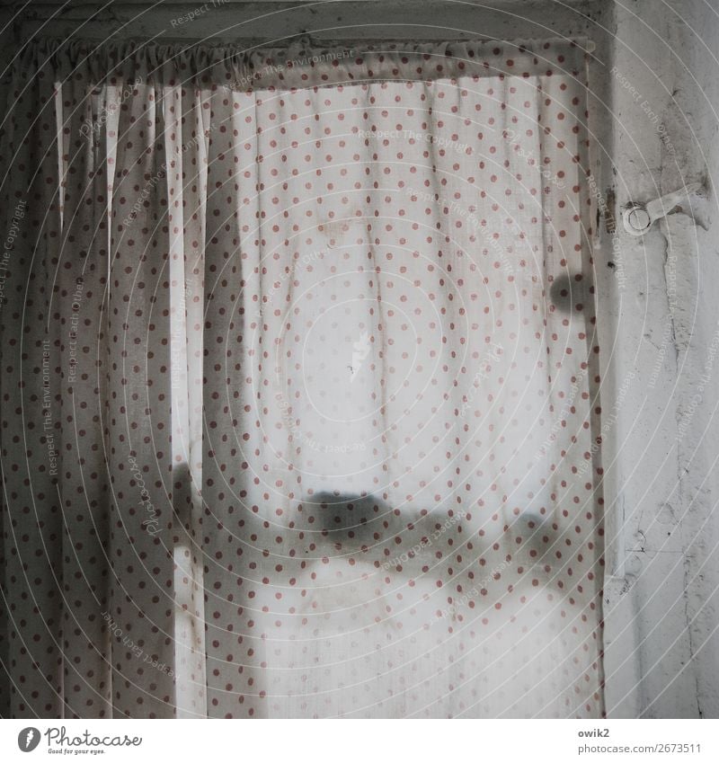 Scraped punctually Window Bathroom window Drape Closure Cloth Polka dot Point Curtain Screening Discretion Wrinkles Folds Hang Old Patient Calm Transience