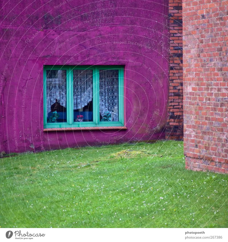 colour corner House (Residential Structure) Garden Window Stone Multicoloured Green Violet Pink Flower vase Curtain Grass surface Wall (barrier) Brick wall