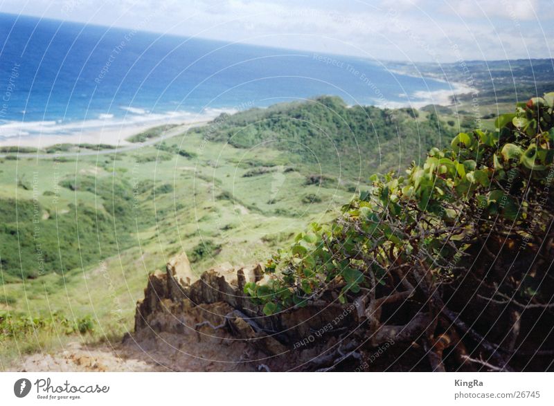 Barbados 1 Green Ocean South America Plant Rock Stone Blue Vantage point Valley