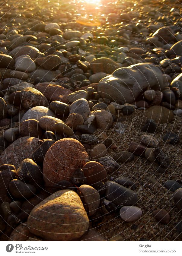 stone on stone Pebble Beach Sunset Back-light Stone Sand Evening Baltic Sea