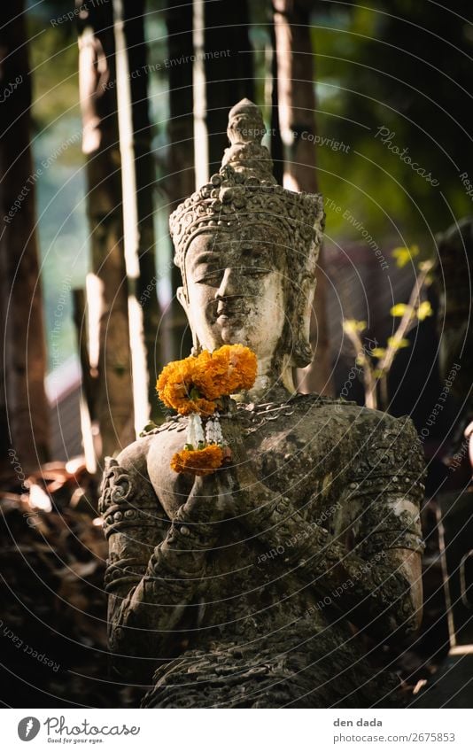 Wat Pha Lat Monastery Art Sculpture Nature Blossom Chiangmai Garden Tourist Attraction Stone Esthetic Orange Happy Contentment Belief Serene Tourism Flower