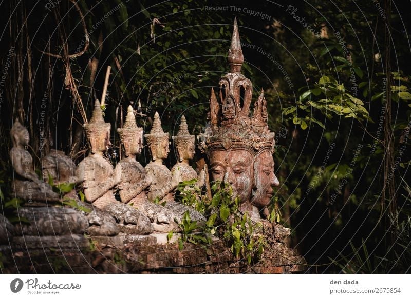 Wat Pha Lat Monastery Tourism Virgin forest Chiangmai Thailand Asia Garden Tourist Attraction Esthetic Buddhism Statue of Buddha Old Ancient states Colour photo