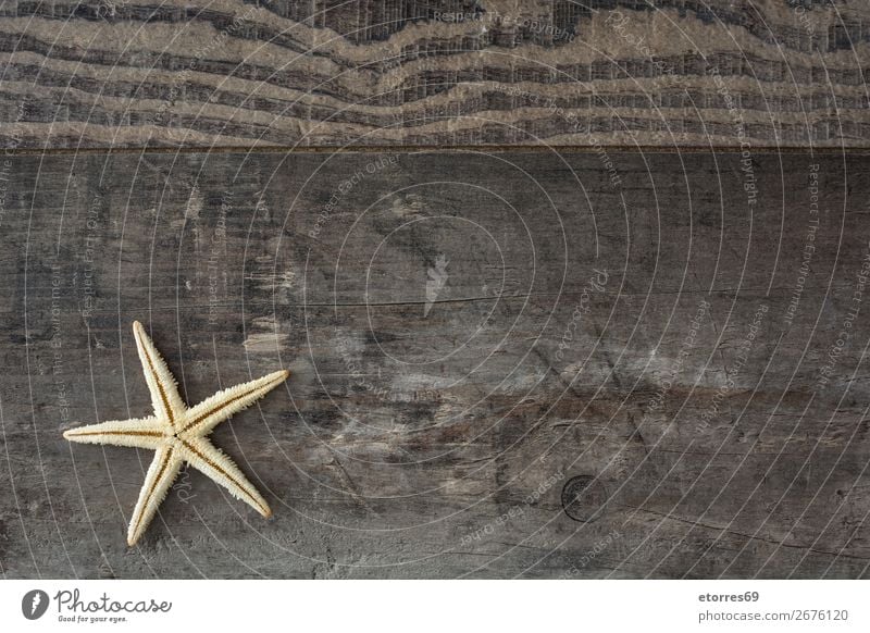 Marine items on wooden background. Starfish Marine animal Animal Life Style Beach Nautical Wood Summer Background picture Design element Nature Consistency