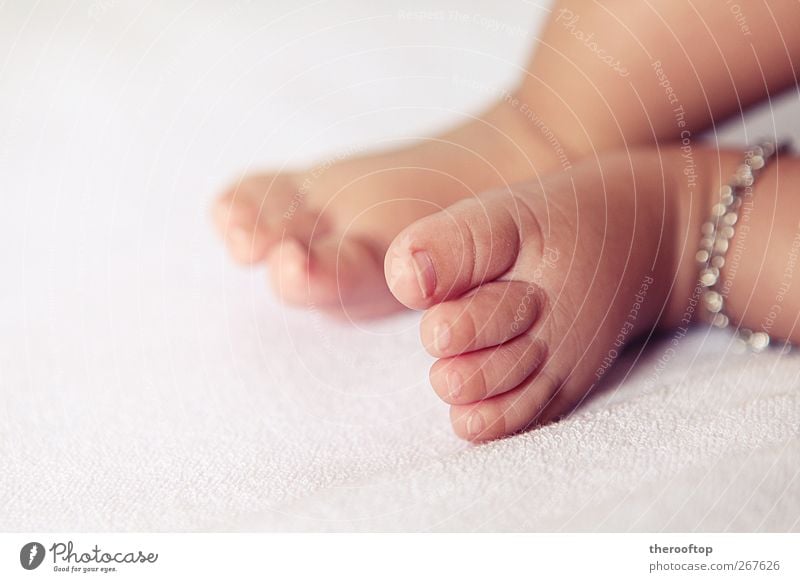 the new beginning Baby Brother Feet 1 Human being 0 - 12 months Cute Clean Beautiful Pure Colour photo Multicoloured Close-up Copy Space left Day Sunlight