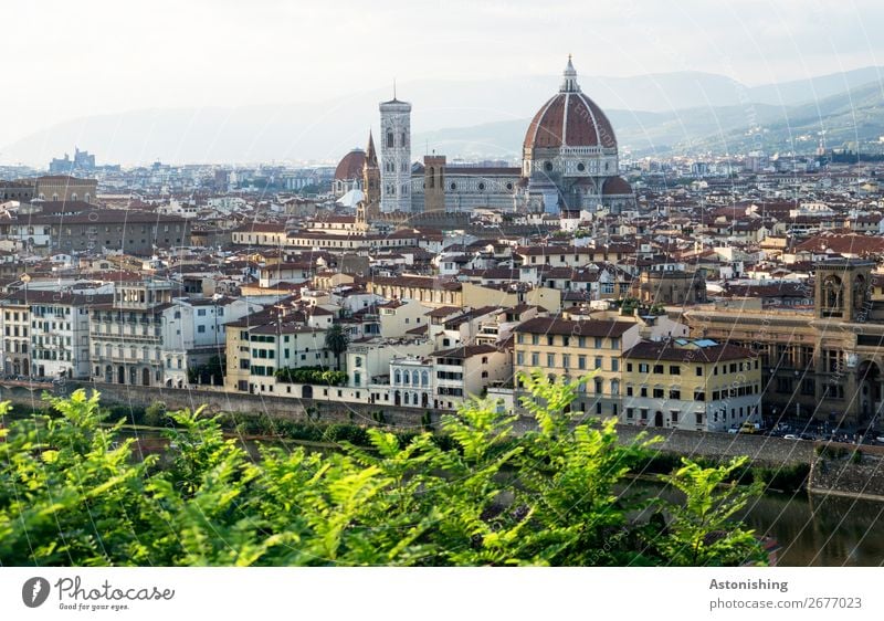 cathedral Environment Nature Landscape Horizon Summer Weather Beautiful weather Tree Leaf Hill Mountain Florence Italy Town Downtown Old town