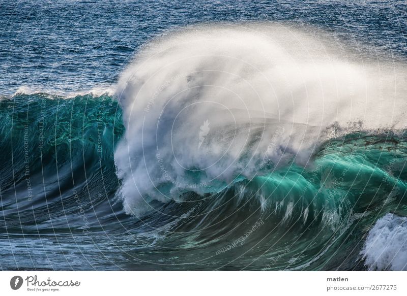 medium wave Nature Elements Water Waves Ocean Gigantic Blue Green Turquoise White White crest To break (something) Medium wave Colour photo Exterior shot