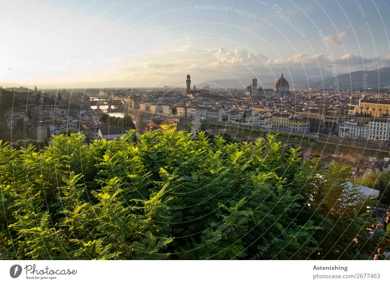 Florence in the evening Environment Nature Landscape Sky Clouds Horizon Summer Plant Tree Hill River Arno Italy Town Downtown House (Residential Structure)