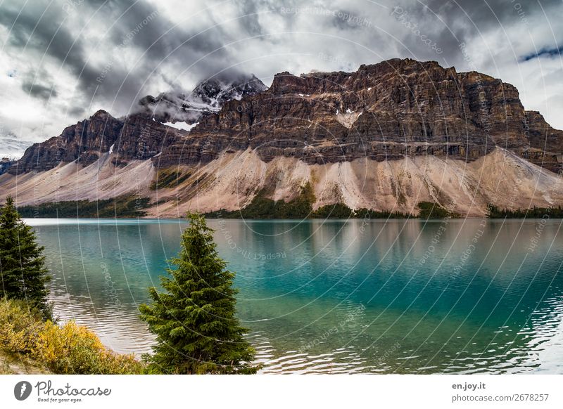Crowfoot Mountain sorum Vacation & Travel Nature Landscape Elements Clouds Autumn Bad weather Bushes Fir tree Coniferous trees Rock Lakeside bow lake Turquoise