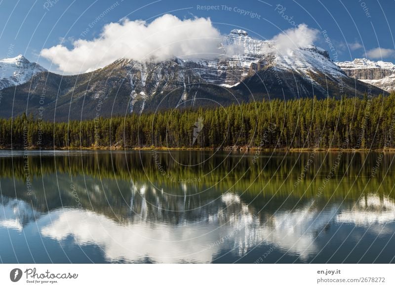 Smooth as a mirror Vacation & Travel Trip Mountain Nature Landscape Clouds Summer Autumn Weather Forest Rocky Mountains Snowcapped peak Lakeside Herbert lake