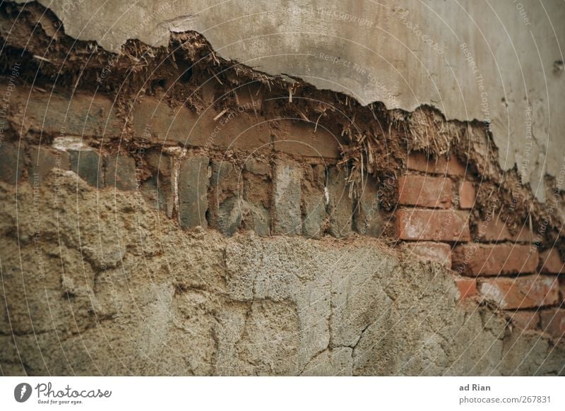 crumbling Old town House (Residential Structure) Ruin Wall (barrier) Wall (building) Brick wall Brick facade Derelict Colour photo Exterior shot Pattern