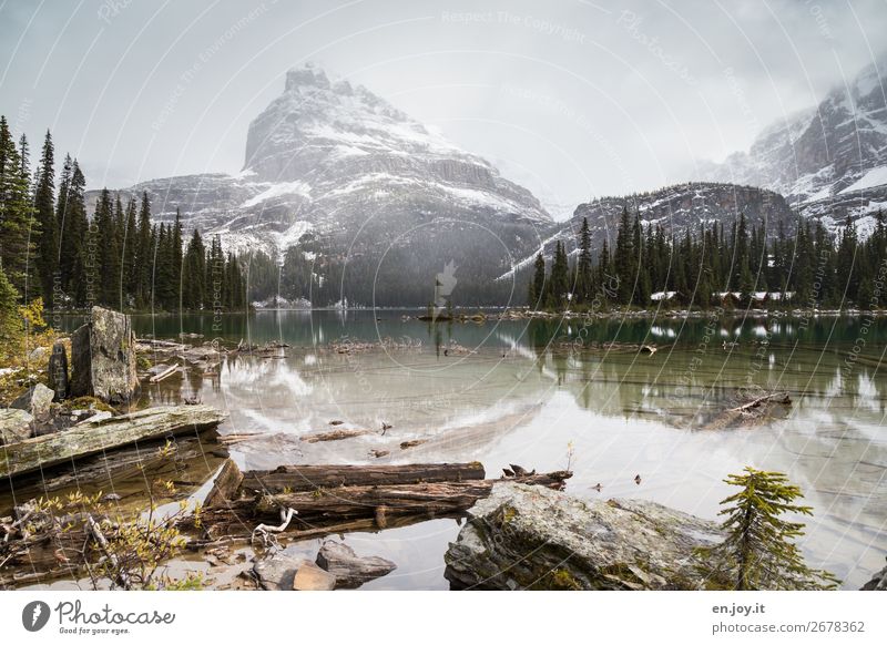 Lake O'Hara Vacation & Travel Tourism Trip Adventure Far-off places Freedom Expedition Winter Mountain Environment Nature Landscape Clouds Forest Rock Lakeside