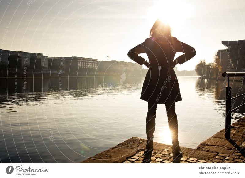backlight City trip Feminine Young woman Youth (Young adults) 1 Human being 18 - 30 years Adults Sun Autumn River bank Frankfurt Town Deserted