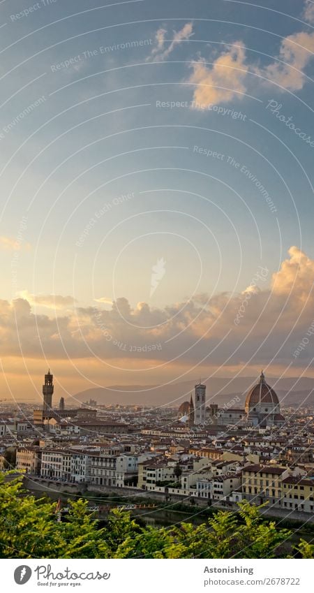 Florence Environment Nature Sky Clouds Sunrise Sunset Summer Wind Plant Leaf River Italy Town Downtown Old town House (Residential Structure) Church Dome Tower