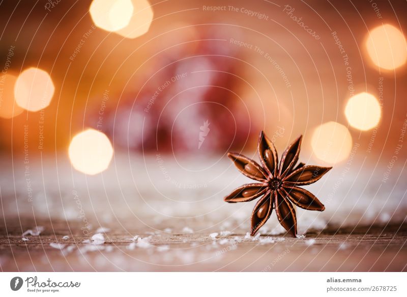 Christmas star anise Christmas & Advent Star aniseed Star (Symbol) Card Macro (Extreme close-up) Blur Red Orange Snow Snowfall Rustic December Herbs and spices