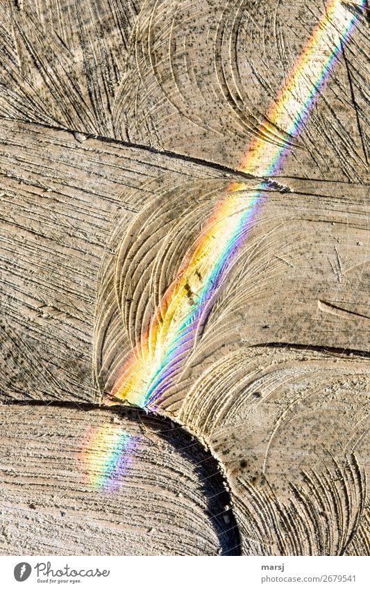 Two sawdust shavings bask in the colourful ray of the rainbow Prismatic colors Texture of wood Contrast Shadow Light Day Morning Structures and shapes Pattern