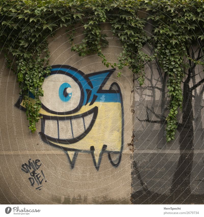 smile or die! Plant Foliage plant Virginia Creeper Wall (barrier) Wall (building) Characters Graffiti Uniqueness Funny Town Smiling Fish Shark Decide Death