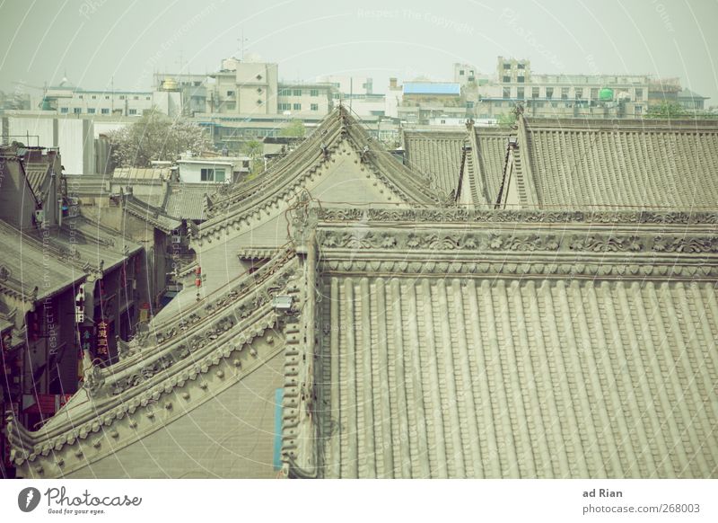 Xi'an Xian China Town Old town Skyline Manmade structures Building Architecture Wall (barrier) Wall (building) Roof Eaves Chimney Historic Tradition